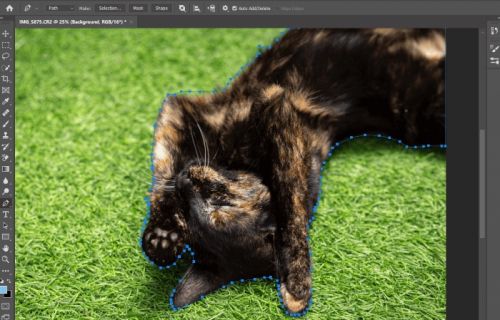 جداکردن پس زمینه تصویر در فتوشاپ